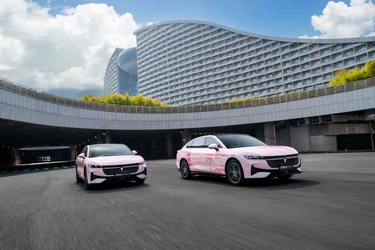 武汉的浪漫会客厅，岚图追光与您感受大江大河大武汉插图1