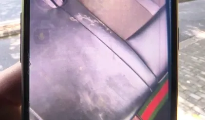 狗在网约车拉稀仅赔 10 元 司机争执后被封账号引热议​插图