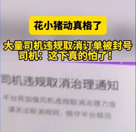 8月1日起，网约车司机花钱就能拒单，再也不怕封号了！插图