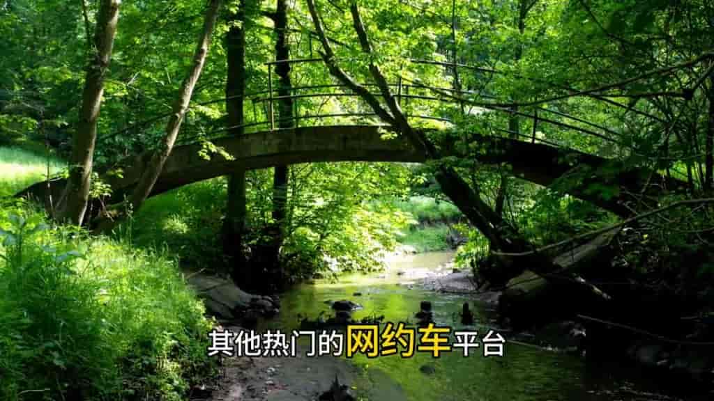 买了车发现驾龄不够，车超龄了，怎么加入网约车车？插图1