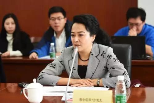 代表委员建言分享经济：网约车与“黑车”有本质区别 滴滴资讯 第6张