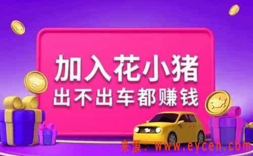 悄然推广花小猪，滴滴葫芦里卖的什么药？