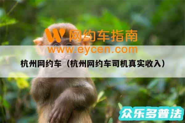 杭州网约车(杭州网约车司机真实收入)插图 杭州网约车(杭州网约车司机真实收入)插图
