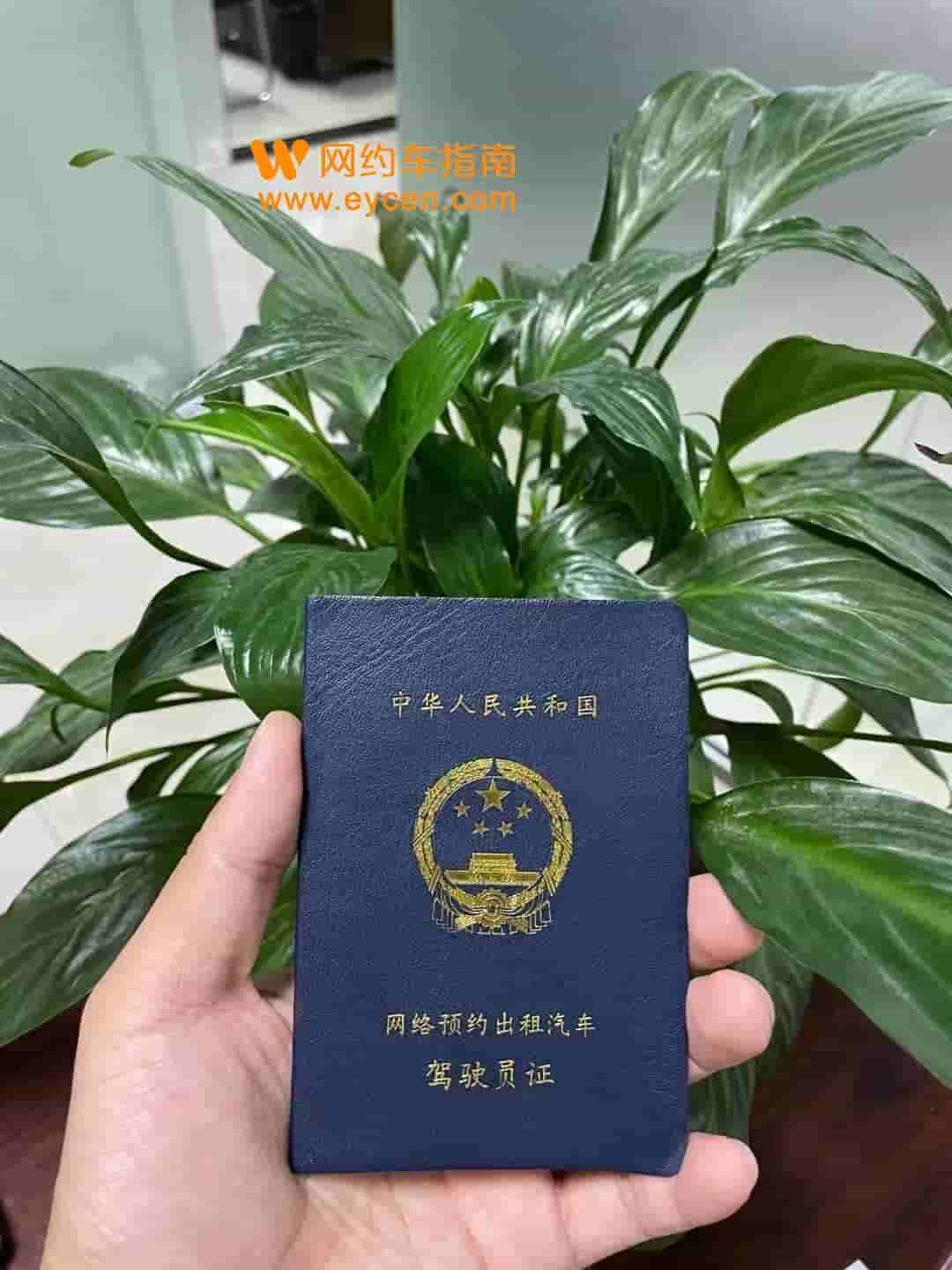滴滴网约驾驶人证怎么考资格证模拟考试题目？插图